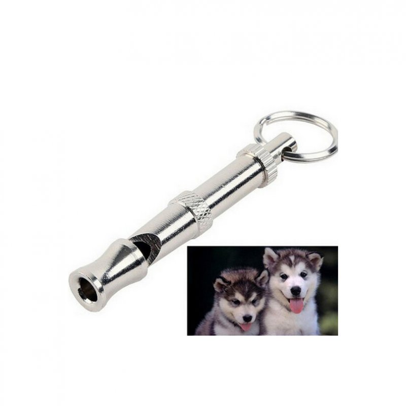 How Far Away Can A Dog Hear A Dog Whistle How Far Away Can A Dog Hear A Dog Whistle