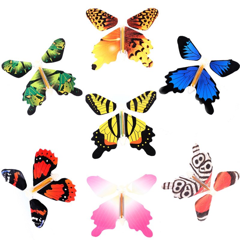 butterfly transformations essay He continued to watch the butterfly expecting that, at any moment, the wings would dry out, enlarge and expand to support the swollen body. butterfly transformations essay He continued to watch the butterfly expecting that, at any moment, the wings would dry out, enlarge and expand to support the swollen body.