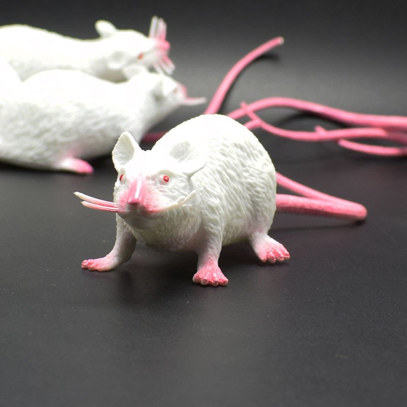 plastic toy mouse